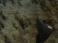 Skyrim where to find the dual feather