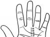 What do the lines on the palm of the right and left hands mean in palmistry and fortune telling?