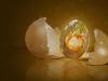 A tojással kapcsolatos hiedelmek és babonák Miért kell feltörni a tojást, az a jel